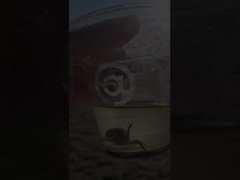 50mm 400mm 300mm فلز فلز فلز فلز فلز فلز