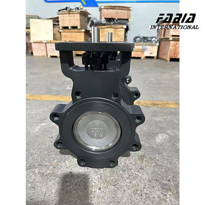 DN100 الکتریکی WCB عملکرد بالا دو قطب پرنده فرشگوش نوع آب